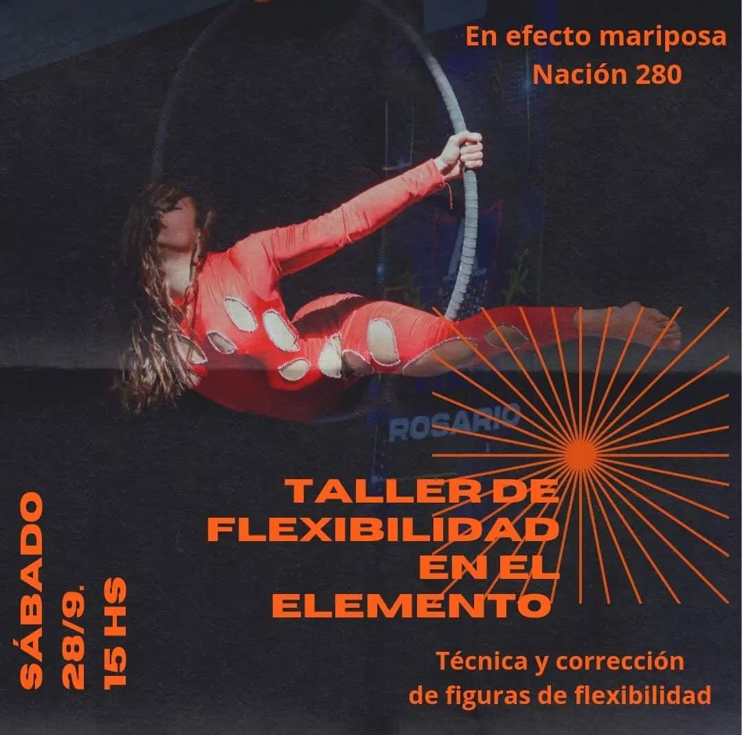 Flexibilidad